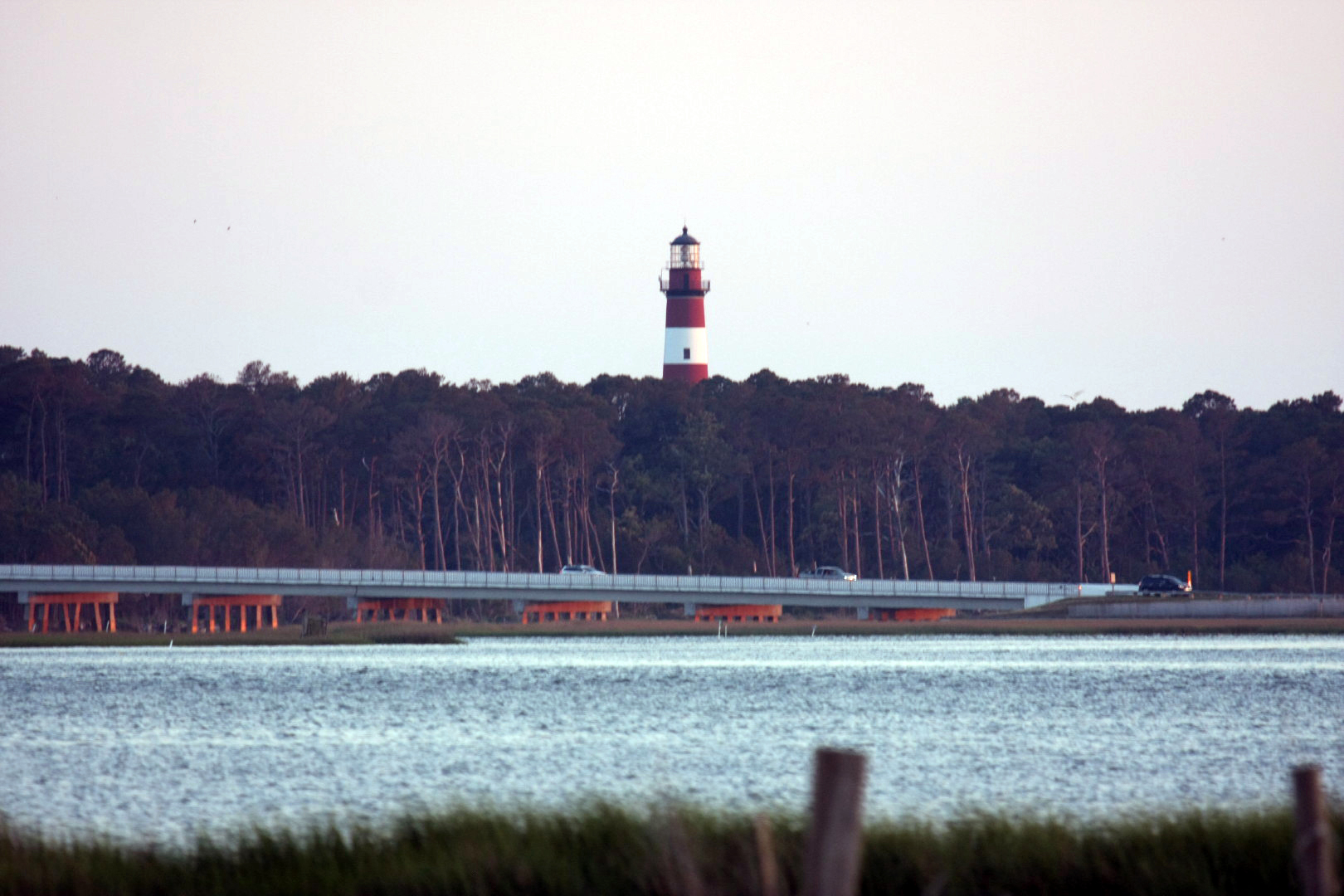 Assateague Island Vacation | 13-18 June 2014 | Sat, 14 Jun 2014 | 8:14:32 PM Assateague Island Vacation | 13-18 June 2014 | Sat, 14 Jun 2014 | 8:14:32 PM