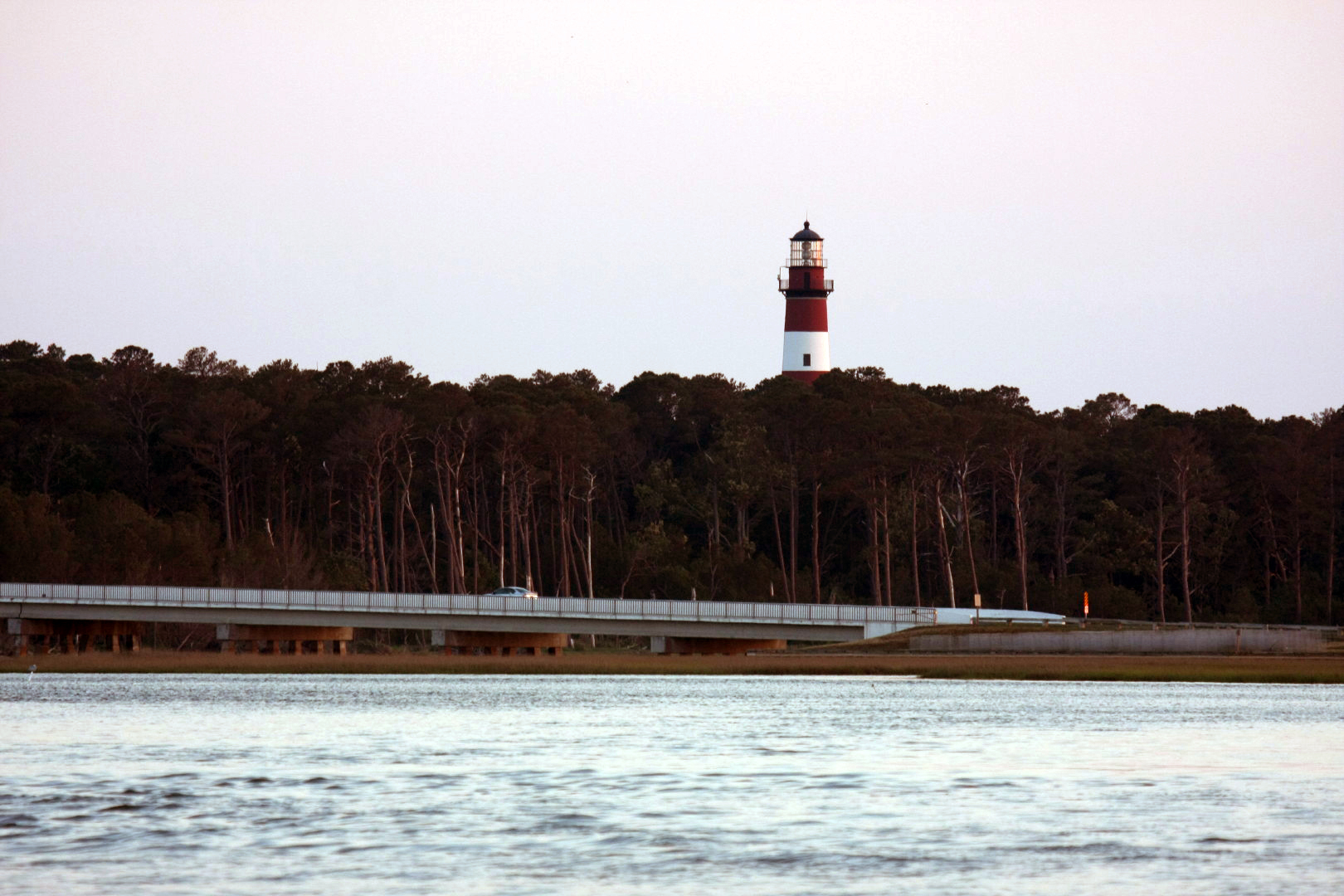 Assateague Island Vacation | 13-18 June 2014 | Sat, 14 Jun 2014 | 8:18:29 PM Assateague Island Vacation | 13-18 June 2014 | Sat, 14 Jun 2014 | 8:18:29 PM