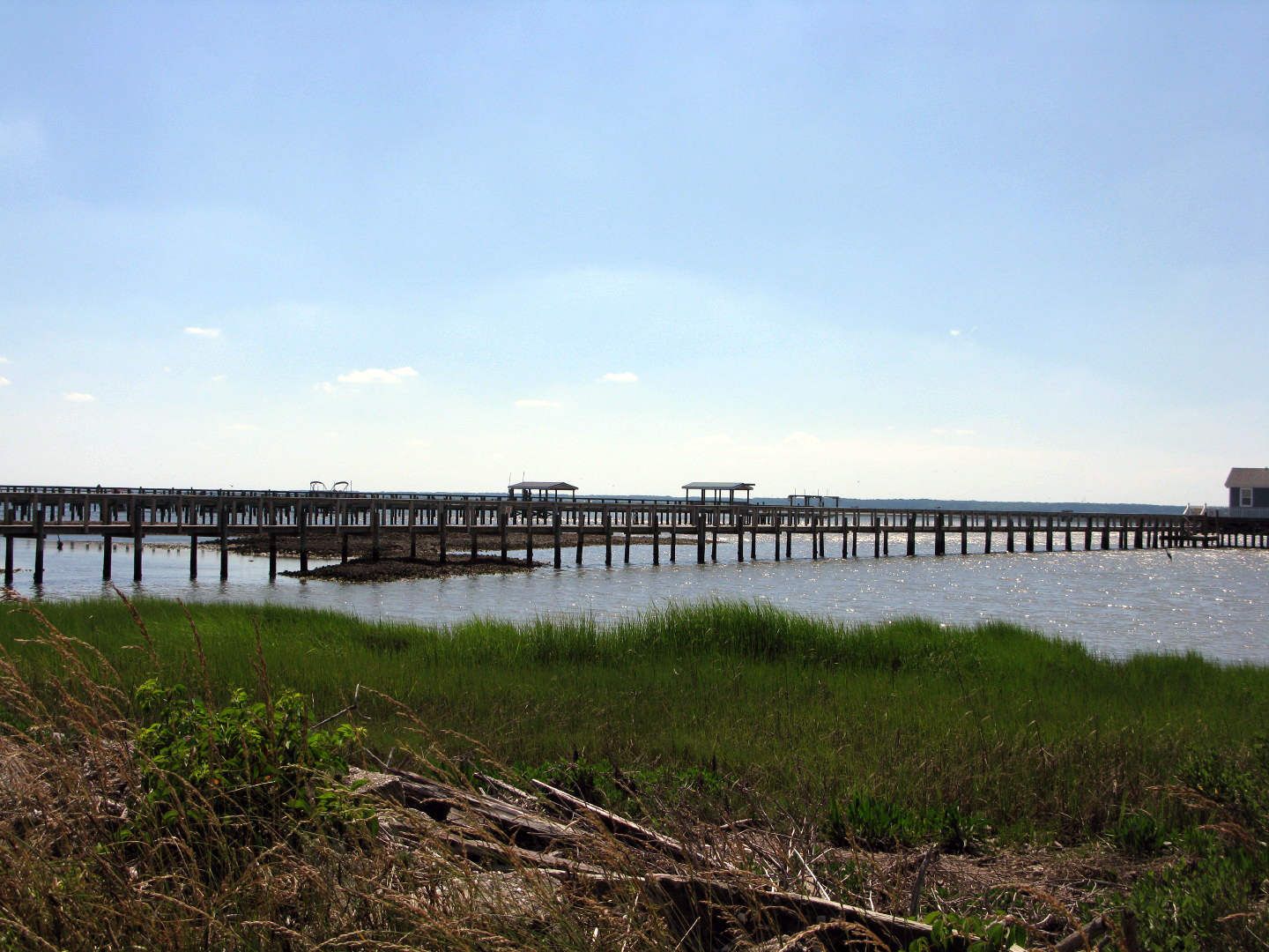 Assateague Island Vacation | 13-18 June 2014 | Sat, 14 Jun 2014 | 3:35:36 PM Assateague Island Vacation | 13-18 June 2014 | Sat, 14 Jun 2014 | 3:35:36 PM