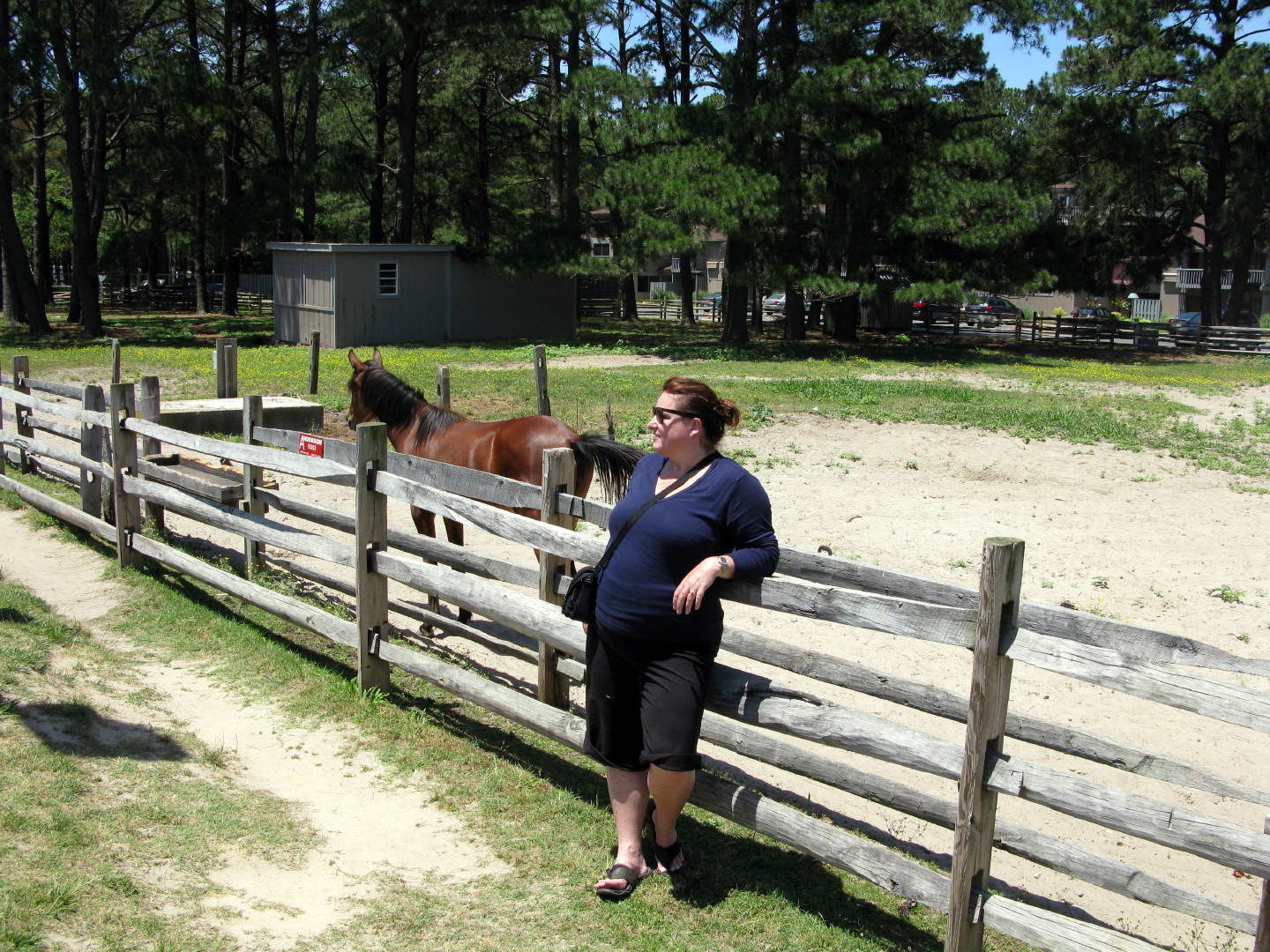 Assateague Island Vacation | 13-18 June 2014 | Sun, 15 Jun 2014 | 1:04:06 PM Assateague Island Vacation | 13-18 June 2014 | Sun, 15 Jun 2014 | 1:04:06 PM