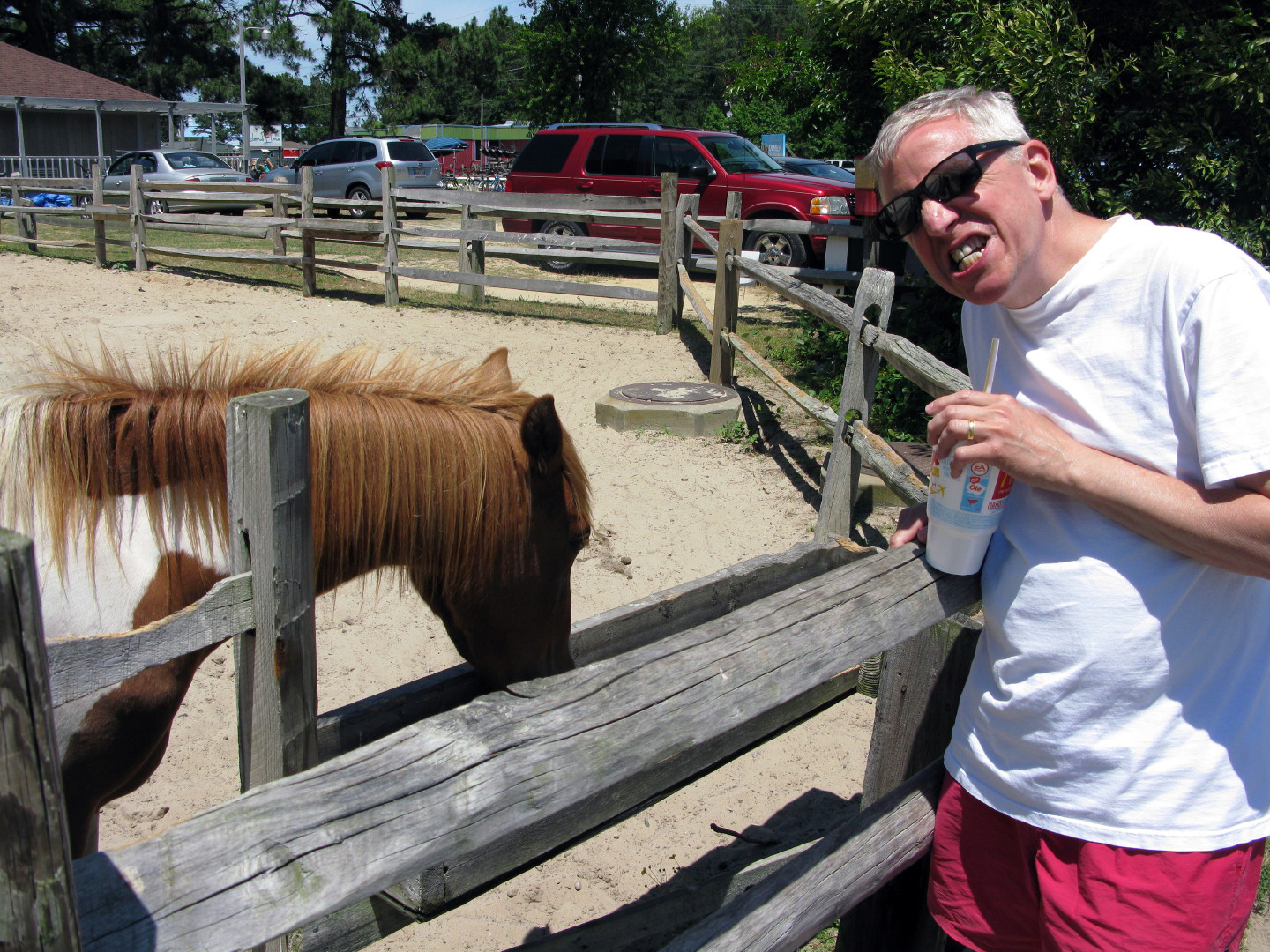 Assateague Island Vacation | 13-18 June 2014 | Sun, 15 Jun 2014 | 1:45:38 PM Assateague Island Vacation | 13-18 June 2014 | Sun, 15 Jun 2014 | 1:45:38 PM