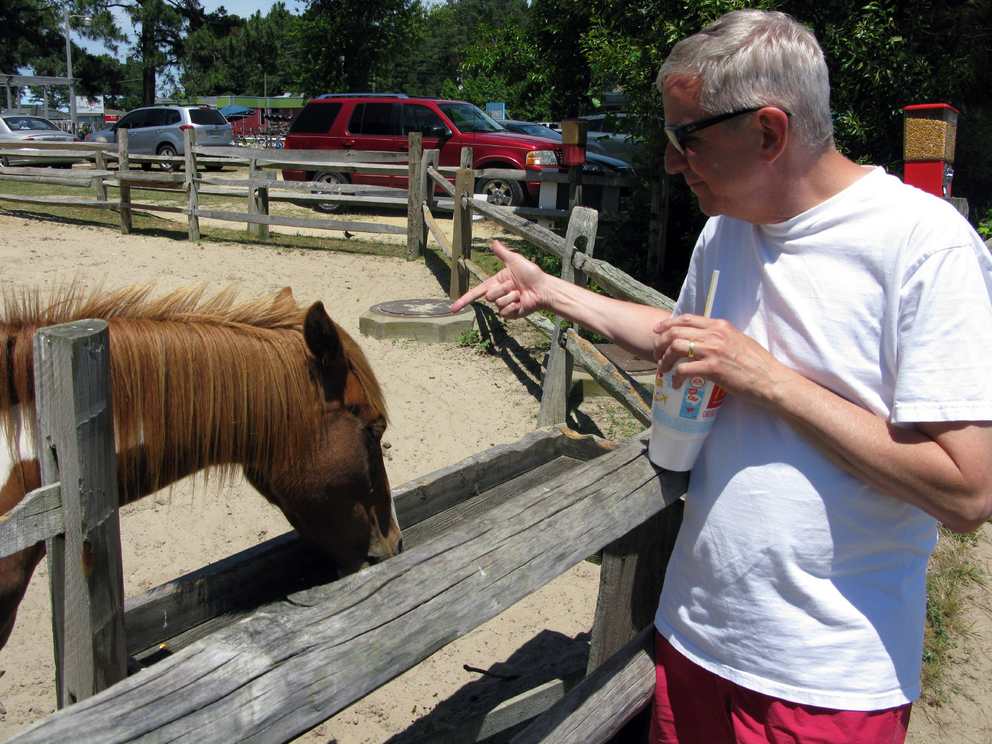 Assateague Island Vacation | 13-18 June 2014 | Sun, 15 Jun 2014 | 1:45:49 PM Assateague Island Vacation | 13-18 June 2014 | Sun, 15 Jun 2014 | 1:45:49 PM