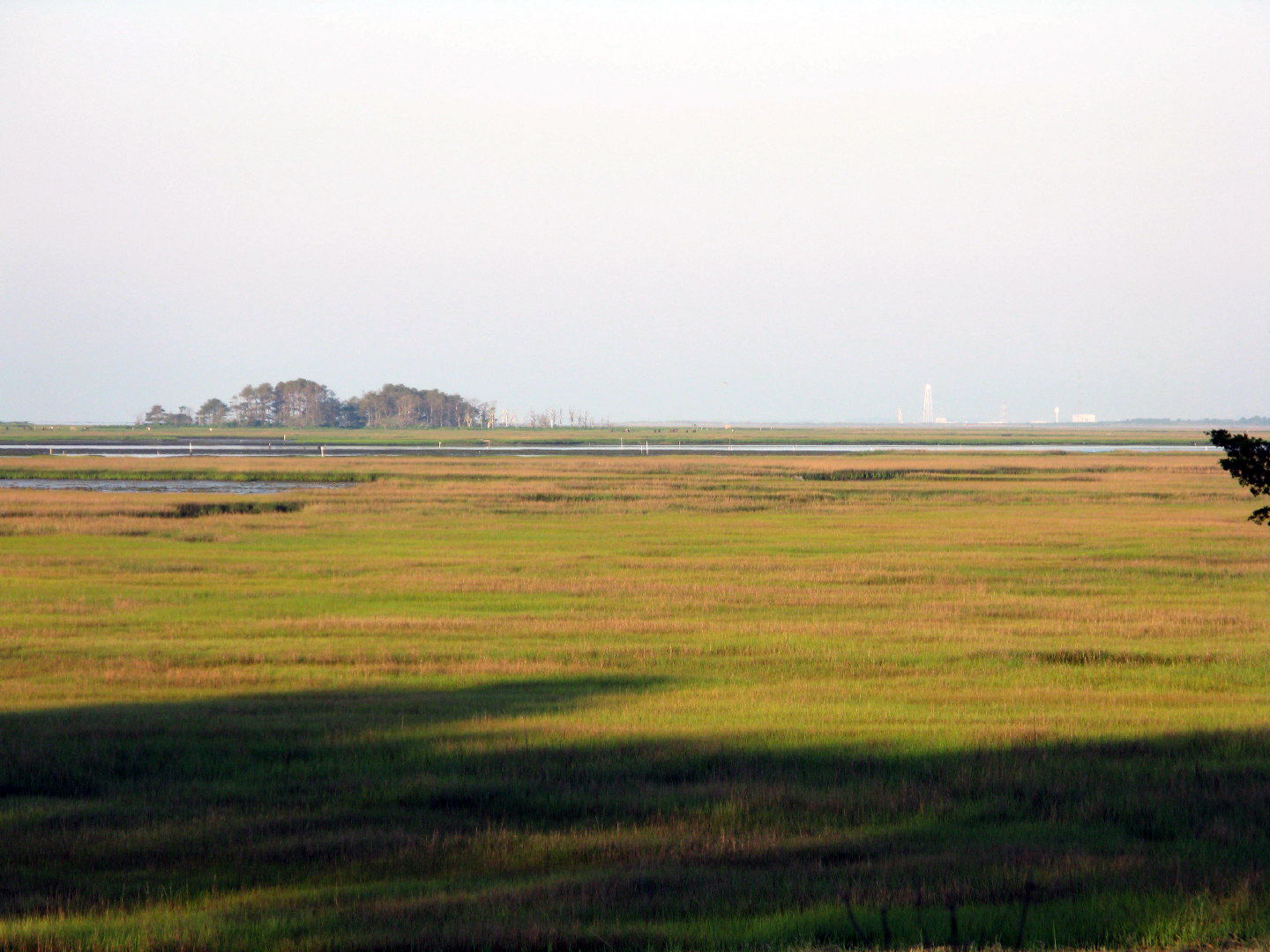 Assateague Island Vacation | 13-18 June 2014 | Mon, 16 Jun 2014 6:30:00 AM Assateague Island Vacation | 13-18 June 2014 | Mon, 16 Jun 2014 6:30:00 AM