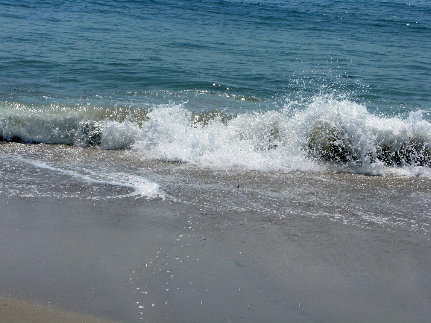 Assateague Island Vacation | 13-18 June 2014 | Mon, 16 Jun 2014 10:43:34 AM Assateague Island Vacation | 13-18 June 2014 | Mon, 16 Jun 2014 10:43:34 AM