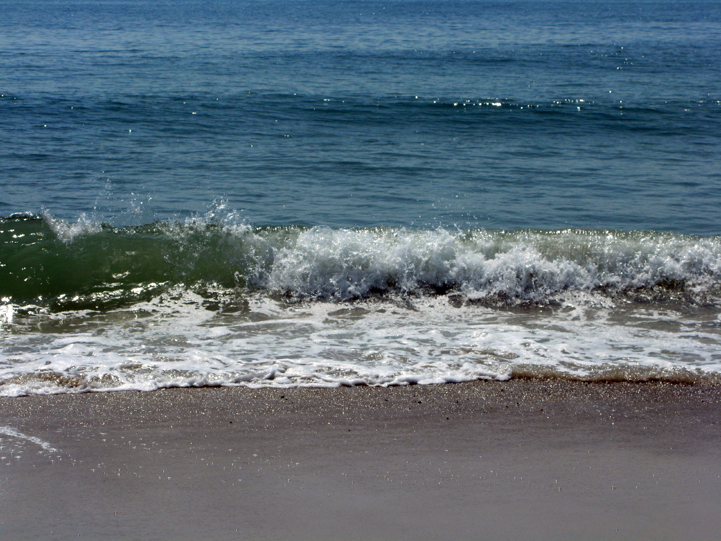 Assateague Island Vacation | 13-18 June 2014 | Mon, 16 Jun 2014 10:44:55 AM Assateague Island Vacation | 13-18 June 2014 | Mon, 16 Jun 2014 10:44:55 AM