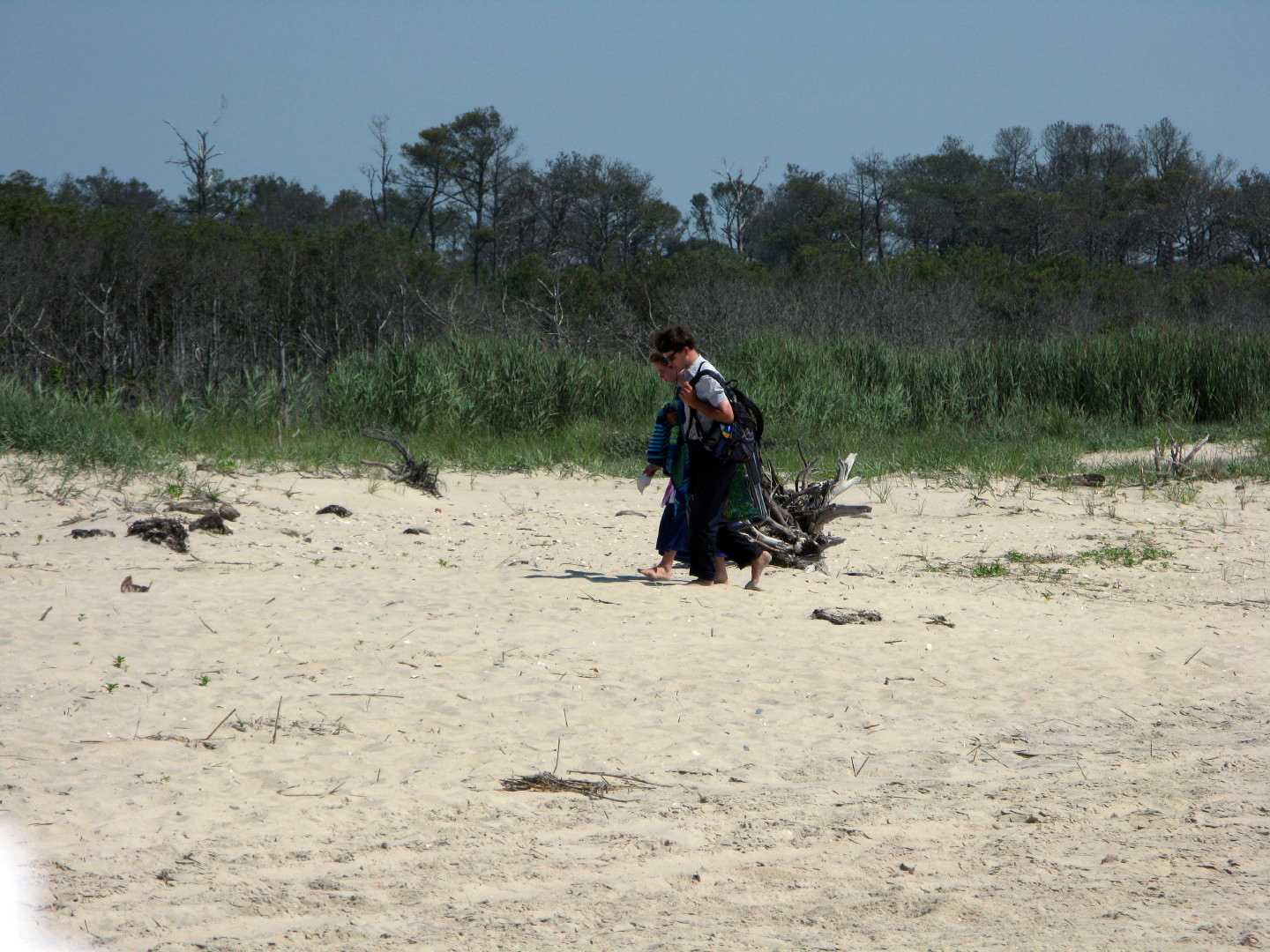 Assateague Island Vacation | 13-18 June 2014 | Mon, 16 Jun 2014 10:47:02 AM Assateague Island Vacation | 13-18 June 2014 | Mon, 16 Jun 2014 10:47:02 AM