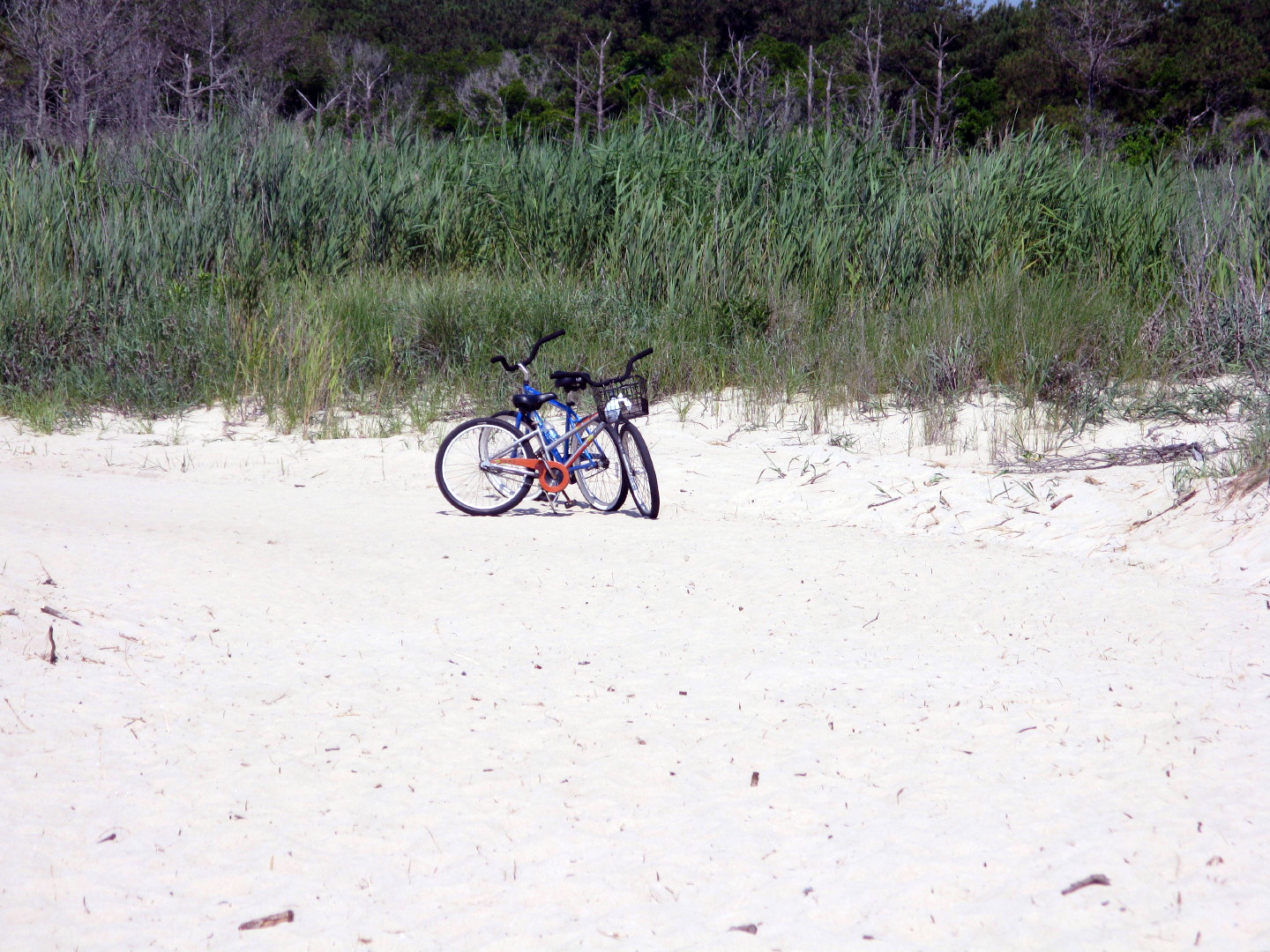 Assateague Island Vacation | 13-18 June 2014 | Mon, 16 Jun 2014 10:48:02 AM Assateague Island Vacation | 13-18 June 2014 | Mon, 16 Jun 2014 10:48:02 AM