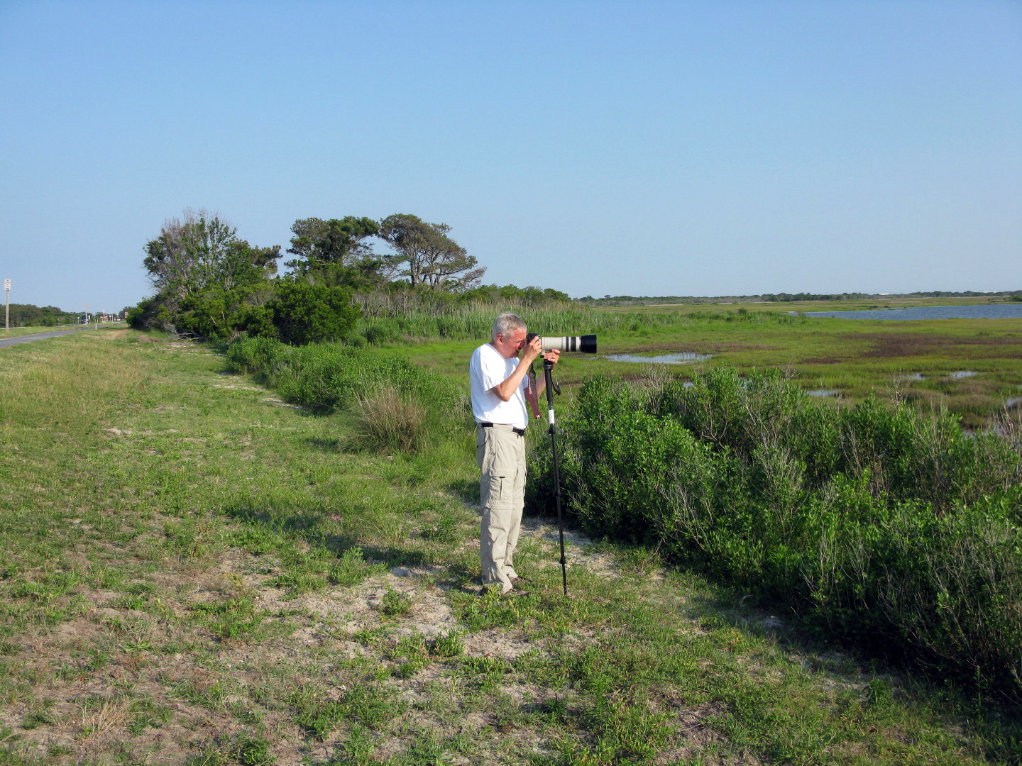 Assateague Island Vacation | 13-18 June 2014 | Mon, 16 Jun 2014 | 5:57:36 PM Assateague Island Vacation | 13-18 June 2014 | Mon, 16 Jun 2014 | 5:57:36 PM