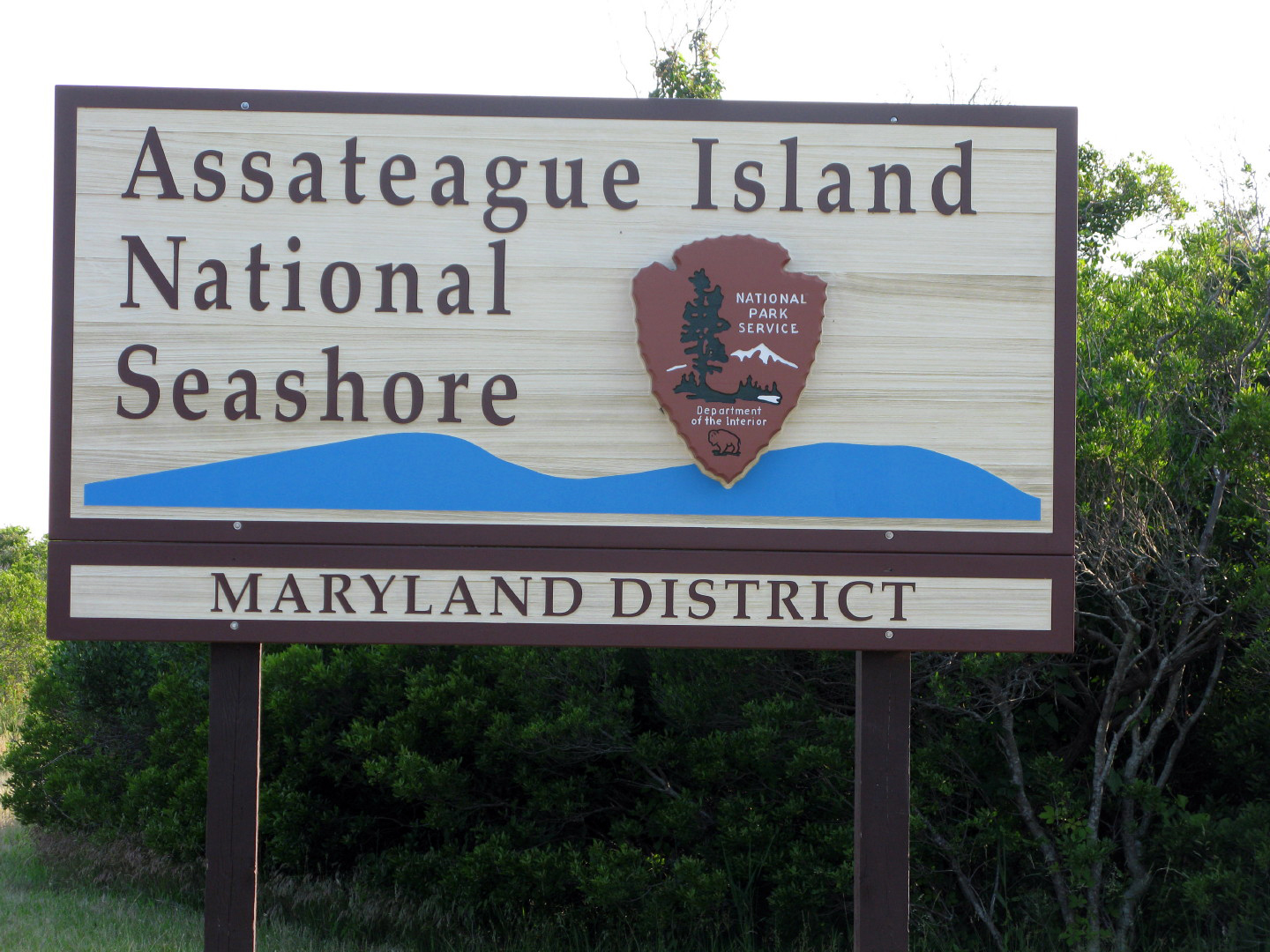 Assateague Island Vacation | 13-18 June 2014 | Mon, 16 Jun 2014 | 6:08:10 PM Assateague Island Vacation | 13-18 June 2014 | Mon, 16 Jun 2014 | 6:08:10 PM