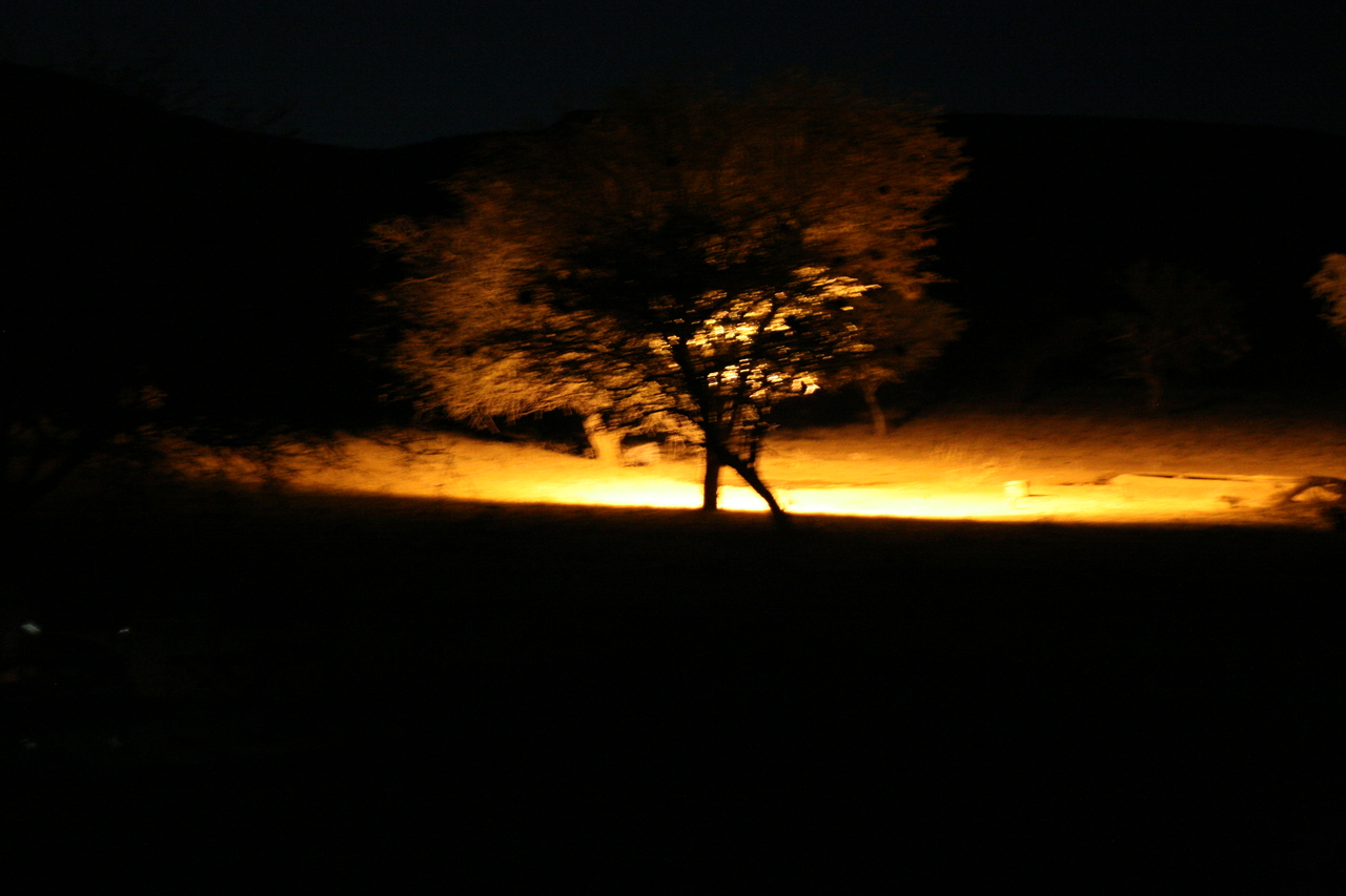 [314] 2016_06_21_14_36_17_Africa_Canon_EOS_30D_IMG_1735_00182.jpg