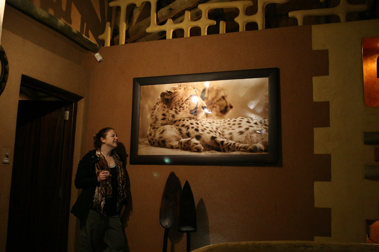 [315] 2016_06_21_14_38_12_Africa_Canon_EOS_30D_IMG_1736_00004.jpg