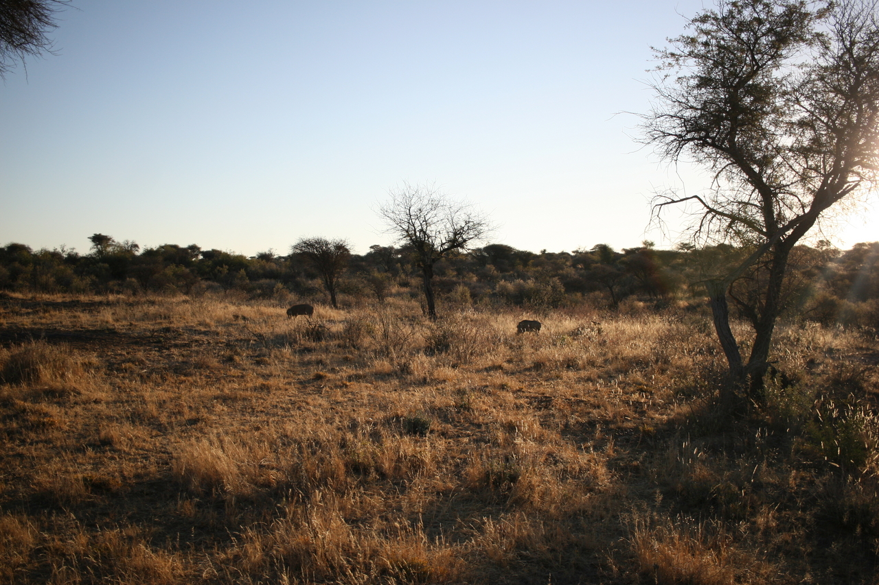 [588] 2016_06_22_02_16_13_Africa_Canon_EOS_30D_IMG_1754_00021.jpg