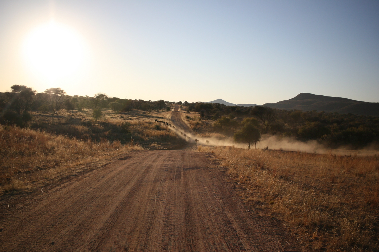 [636] 2016_06_22_02_18_32_Africa_Canon_EOS_30D_IMG_1757_00024.jpg