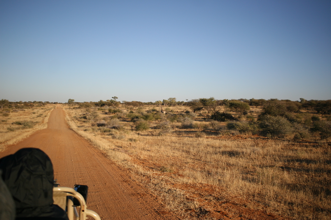 [668] 2016_06_22_02_26_29_Africa_Canon_EOS_30D_IMG_1758_00025.jpg