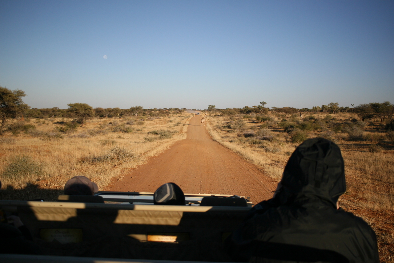 [677] 2016_06_22_02_29_09_Africa_Canon_EOS_30D_IMG_1762_00208.jpg