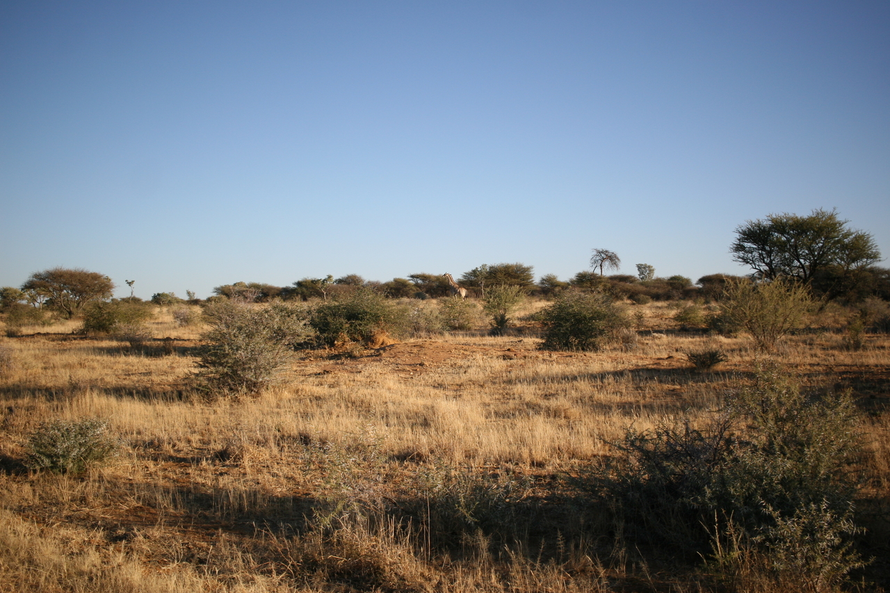 [679] 2016_06_22_02_30_24_Africa_Canon_EOS_30D_IMG_1763_00209.jpg