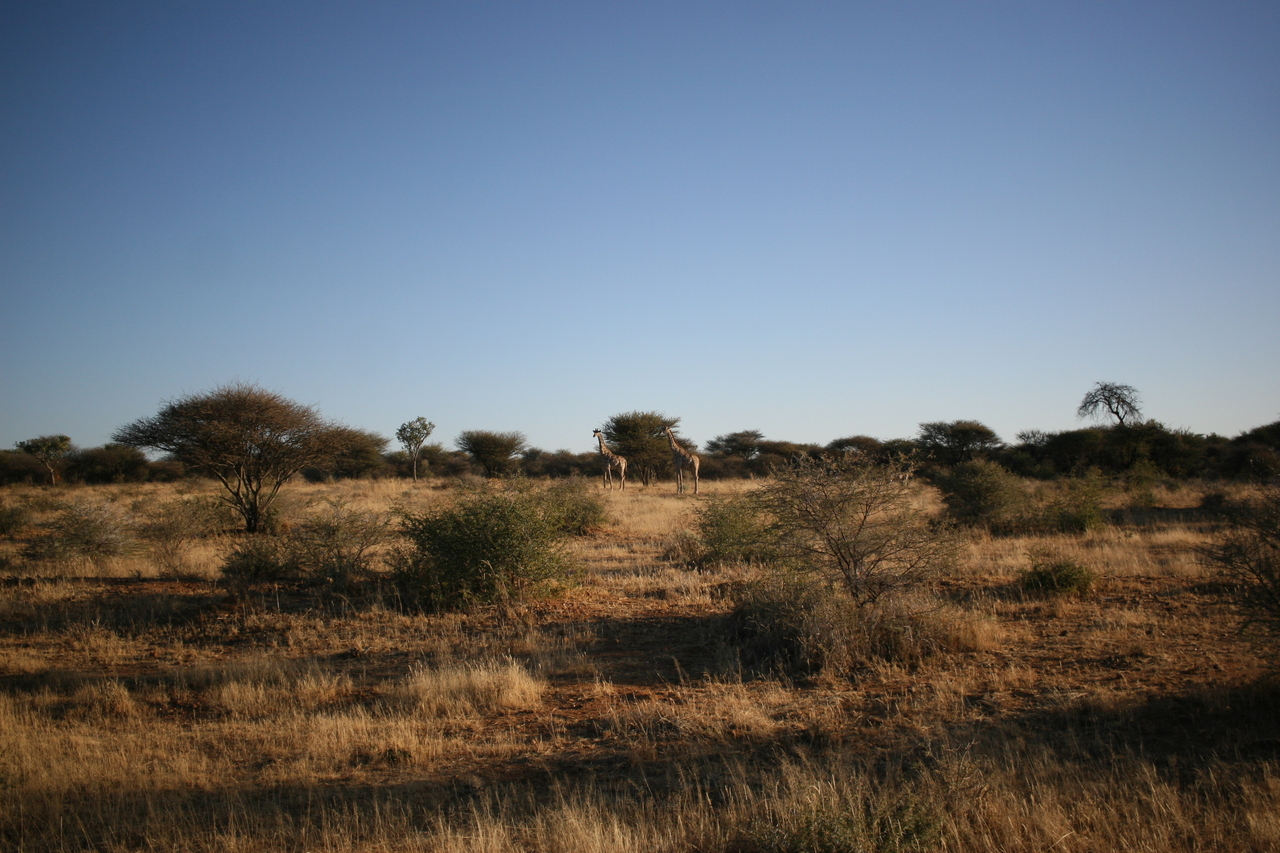 [681] 2016_06_22_02_30_31_Africa_Canon_EOS_30D_IMG_1764_00210.jpg