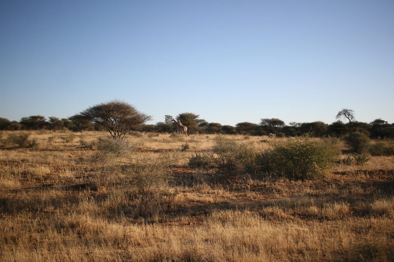 [682] 2016_06_22_02_30_38_Africa_Canon_EOS_30D_IMG_1765_00032.jpg