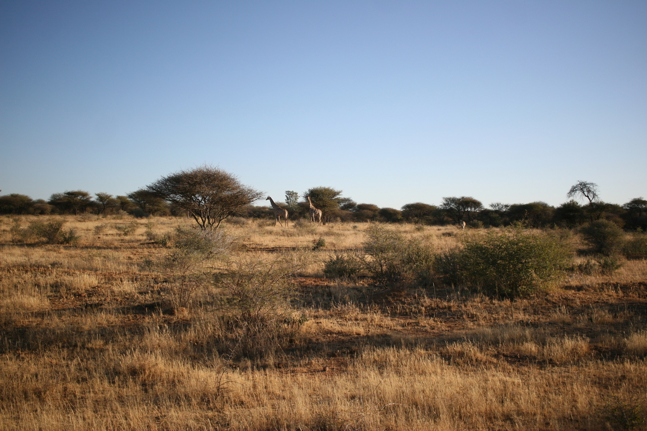 [684] 2016_06_22_02_30_40_Africa_Canon_EOS_30D_IMG_1766_00033.jpg