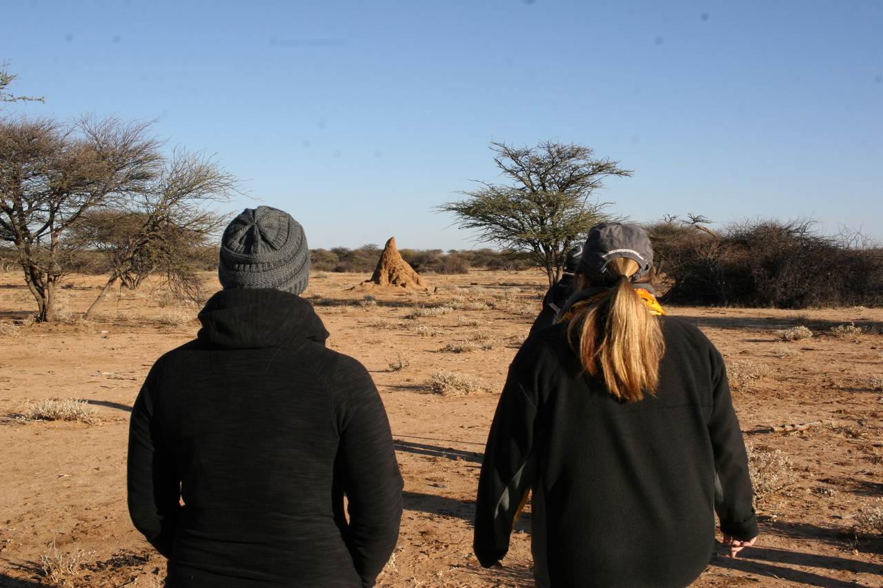 [1161] 2016_06_22_02_55_20_Africa_Canon_EOS_30D_IMG_1772_00039.jpg