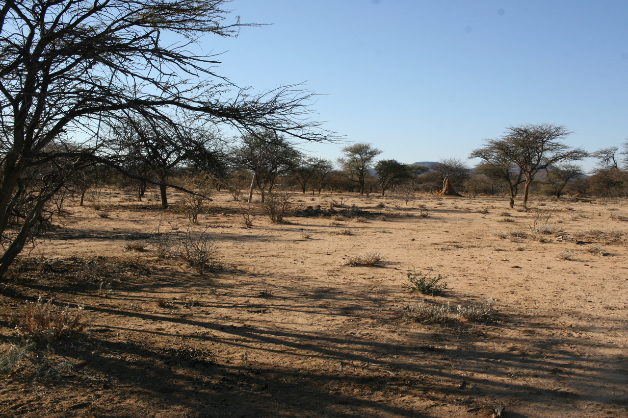 [1565] 2016_06_22_03_12_00_Africa_Canon_EOS_30D_IMG_1782_00228.jpg