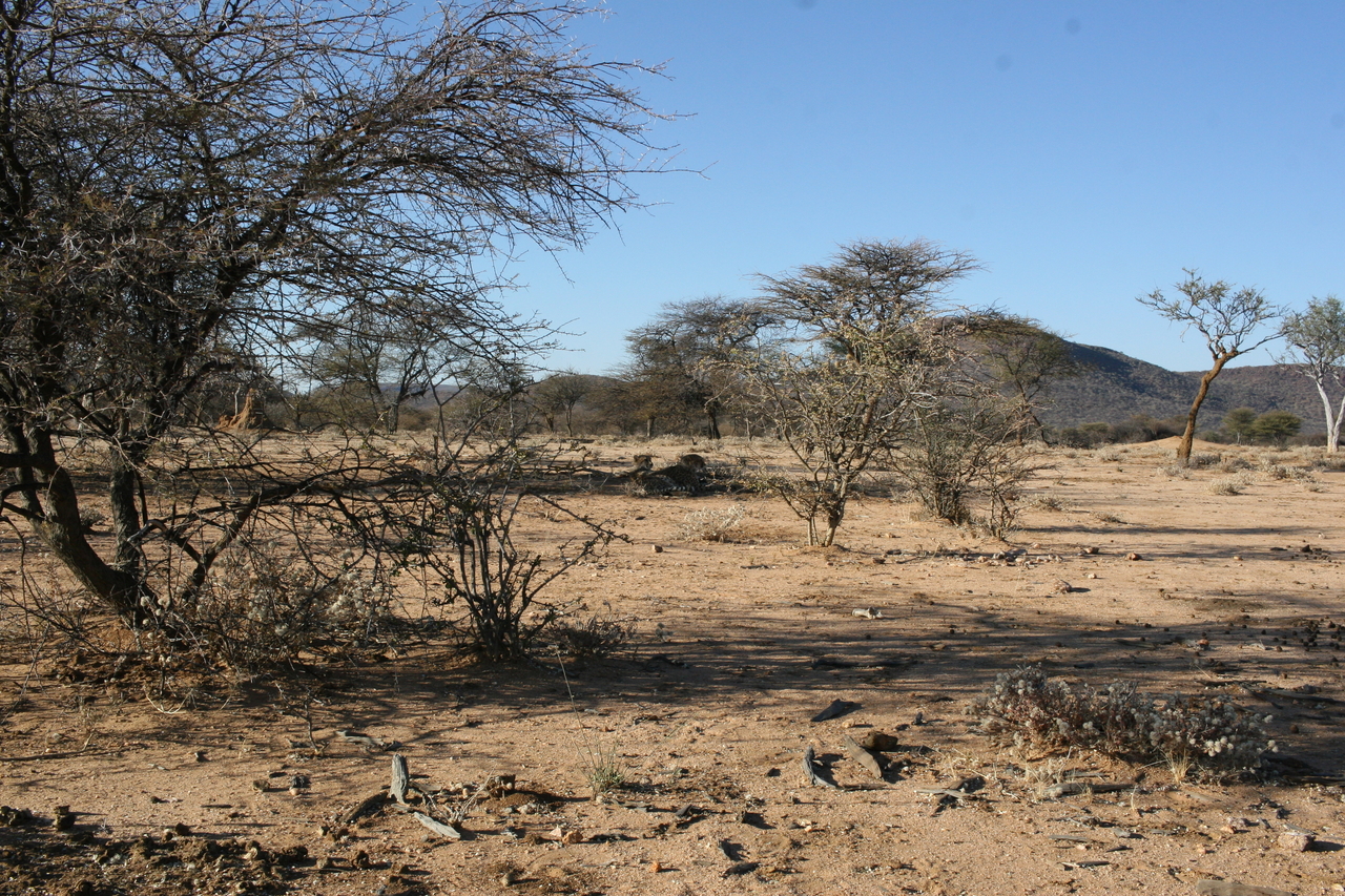 [1569] 2016_06_22_03_12_40_Africa_Canon_EOS_30D_IMG_1784_00230.jpg