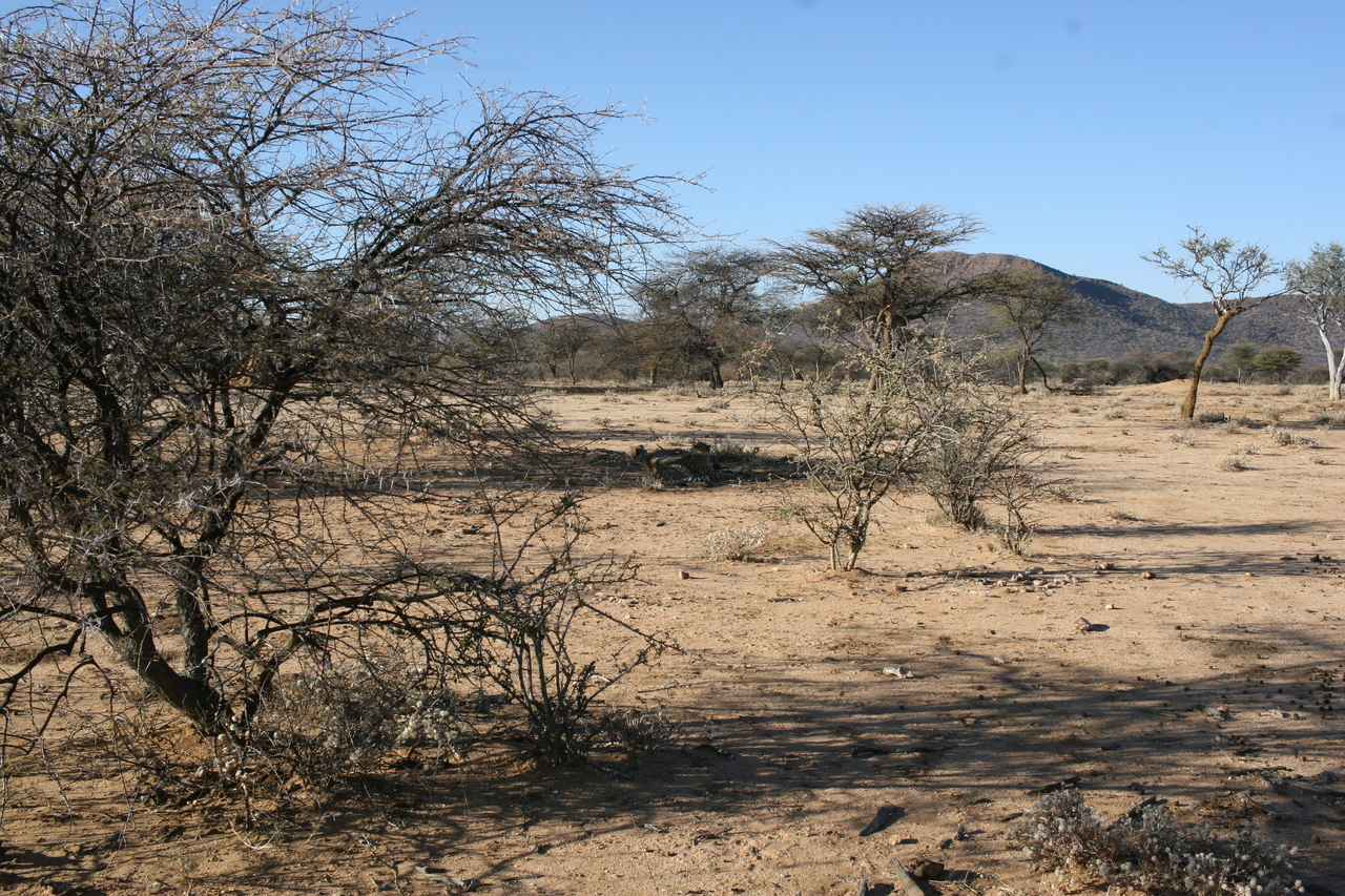 [1590] 2016_06_22_03_13_03_Africa_Canon_EOS_30D_IMG_1786_00053.jpg