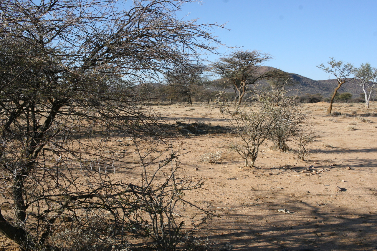 [1642] 2016_06_22_03_15_24_Africa_Canon_EOS_30D_IMG_1787_00233.jpg