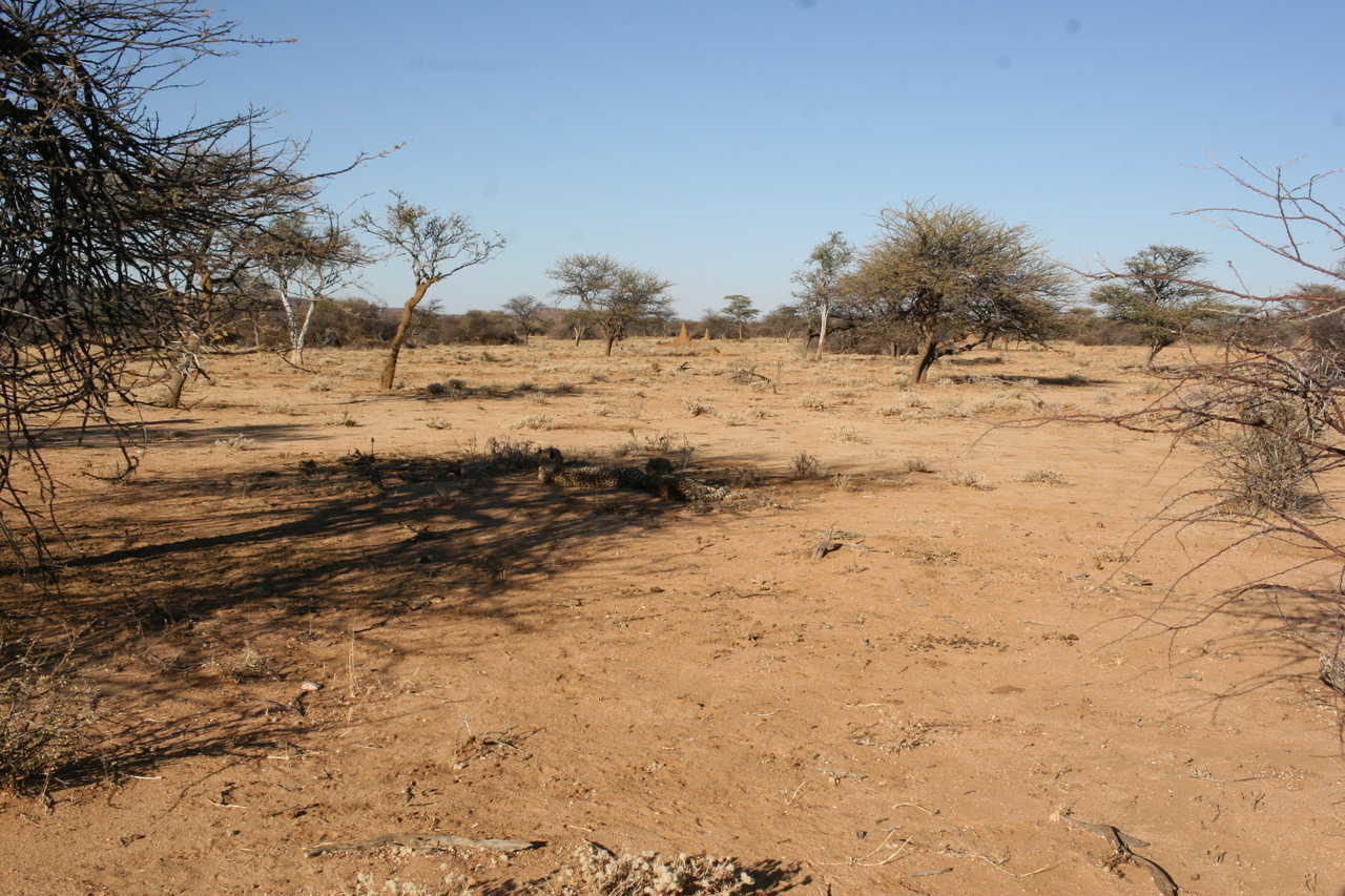 [1743] 2016_06_22_03_20_17_Africa_Canon_EOS_30D_IMG_1790_00057.jpg