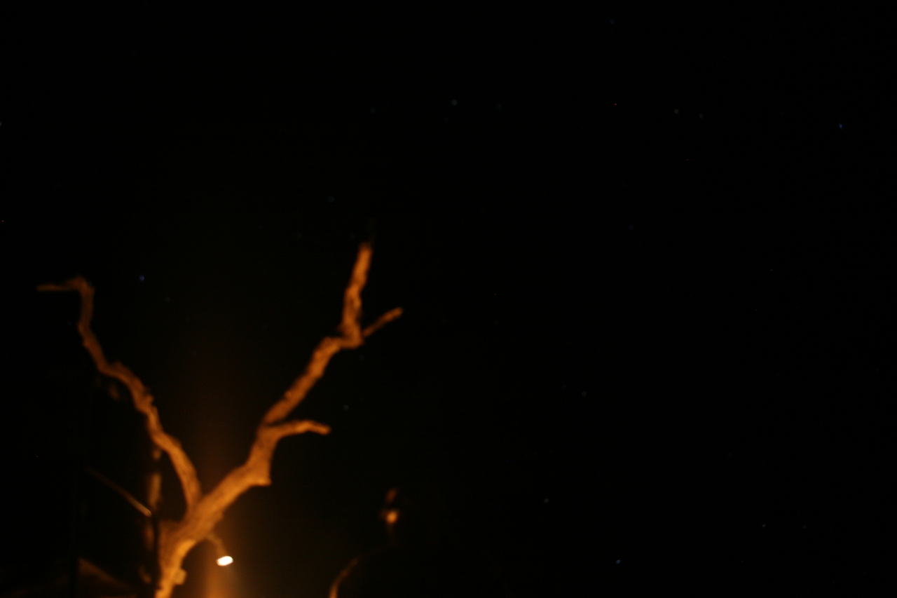 [3543] 2016_06_22_13_54_59_Africa_Canon_EOS_30D_IMG_1798_00244.jpg