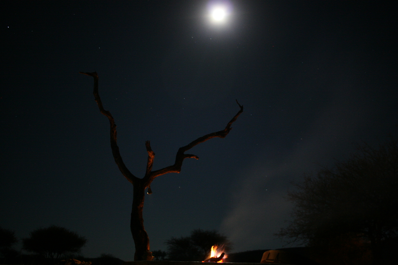 [3679] 2016_06_22_17_11_56_Africa_Canon_EOS_30D_IMG_1804_00248.jpg