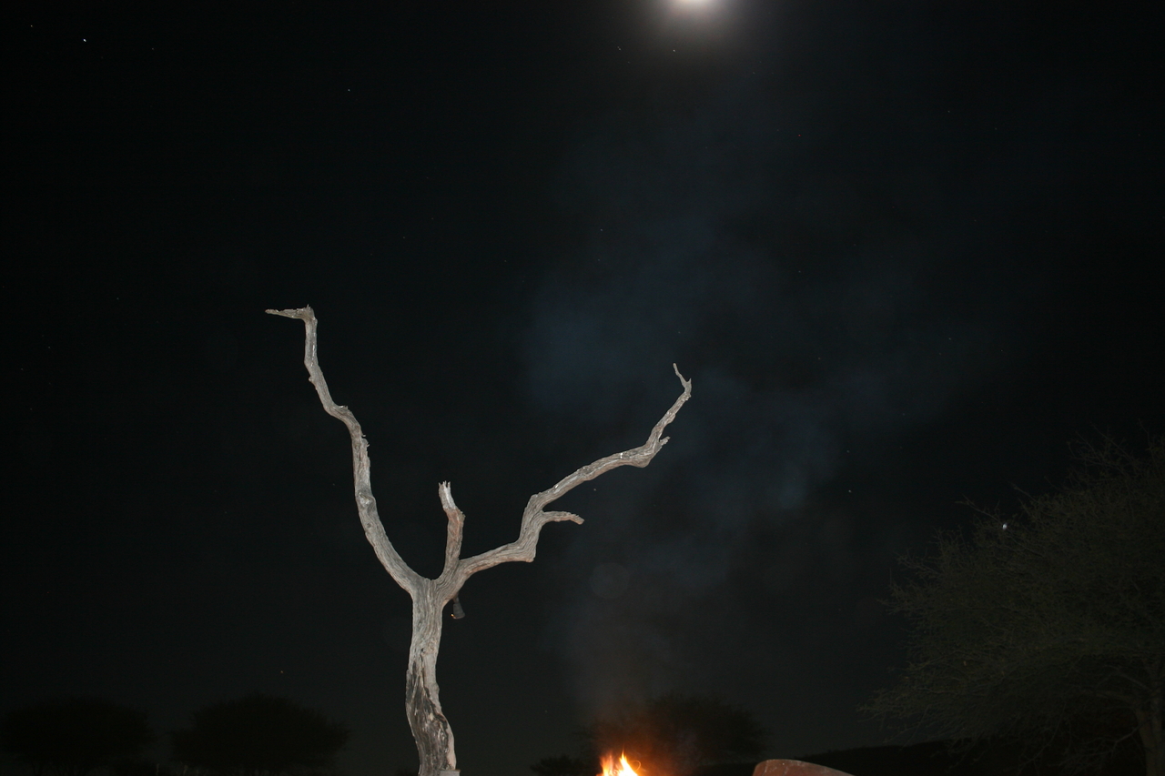 [3711] 2016_06_22_17_26_57_Africa_Canon_EOS_30D_IMG_1813_00257.jpg