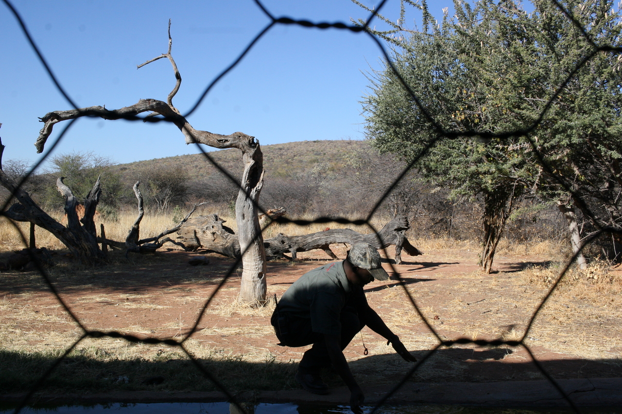 [5880] 2016_06_23_10_27_31_Africa_Canon_EOS_30D_IMG_1827_00271.jpg