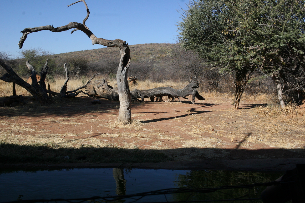 [5980] 2016_06_23_10_29_05_Africa_Canon_EOS_30D_IMG_1829_00273.jpg