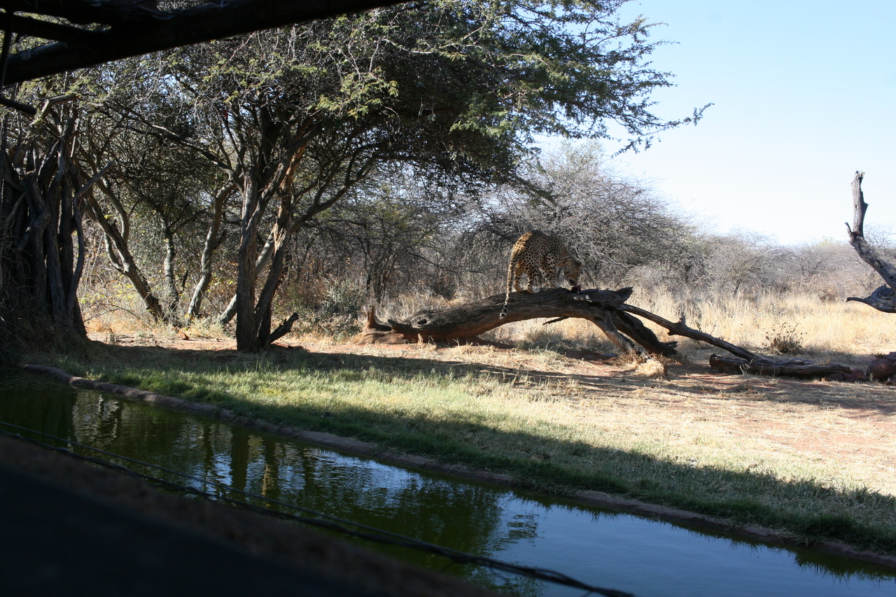 [5987] 2016_06_23_10_29_27_Africa_Canon_EOS_30D_IMG_1830_00095.jpg