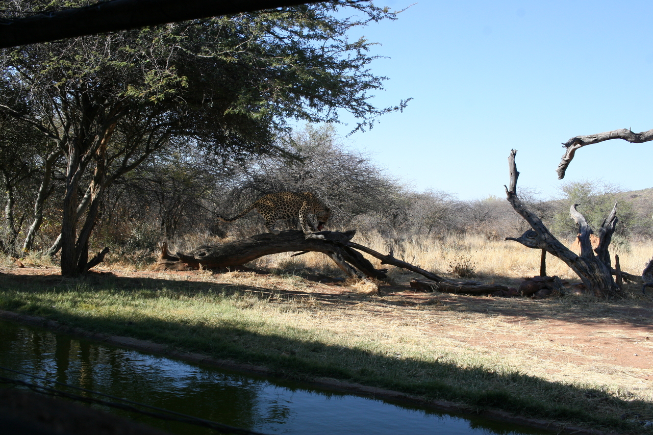 [5997] 2016_06_23_10_29_32_Africa_Canon_EOS_30D_IMG_1832_00097.jpg