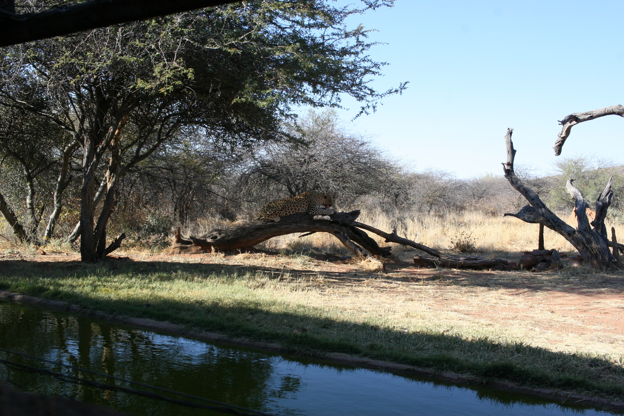 [6009] 2016_06_23_10_30_00_Africa_Canon_EOS_30D_IMG_1836_00280.jpg