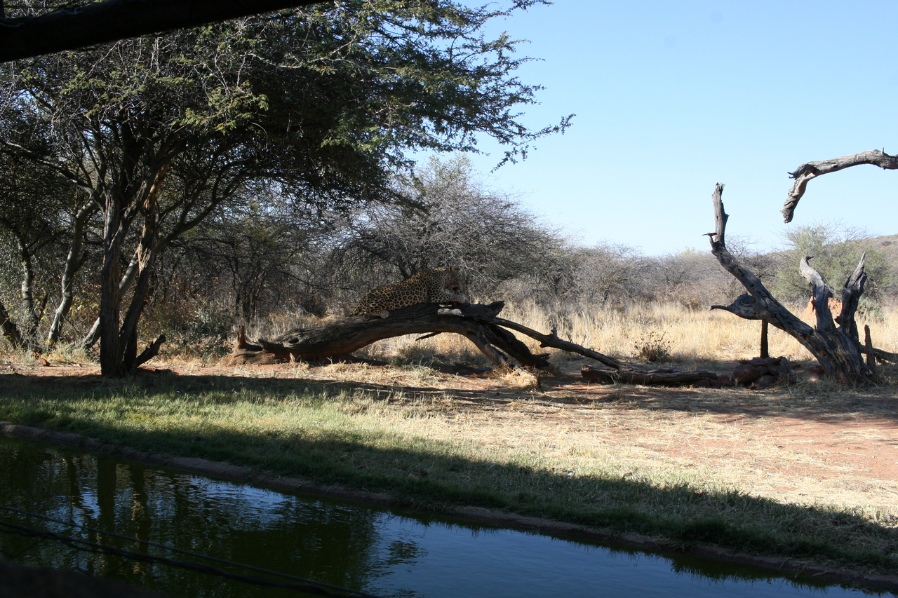 [6010] 2016_06_23_10_30_03_Africa_Canon_EOS_30D_IMG_1837_00102.jpg