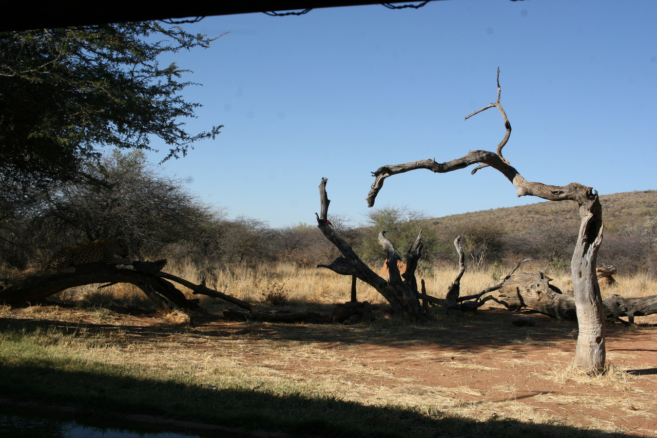 [6038] 2016_06_23_10_30_26_Africa_Canon_EOS_30D_IMG_1839_00283.jpg