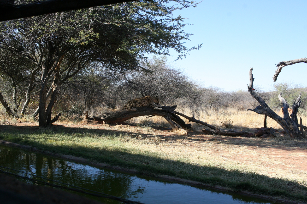 [6040] 2016_06_23_10_30_28_Africa_Canon_EOS_30D_IMG_1840_00284.jpg