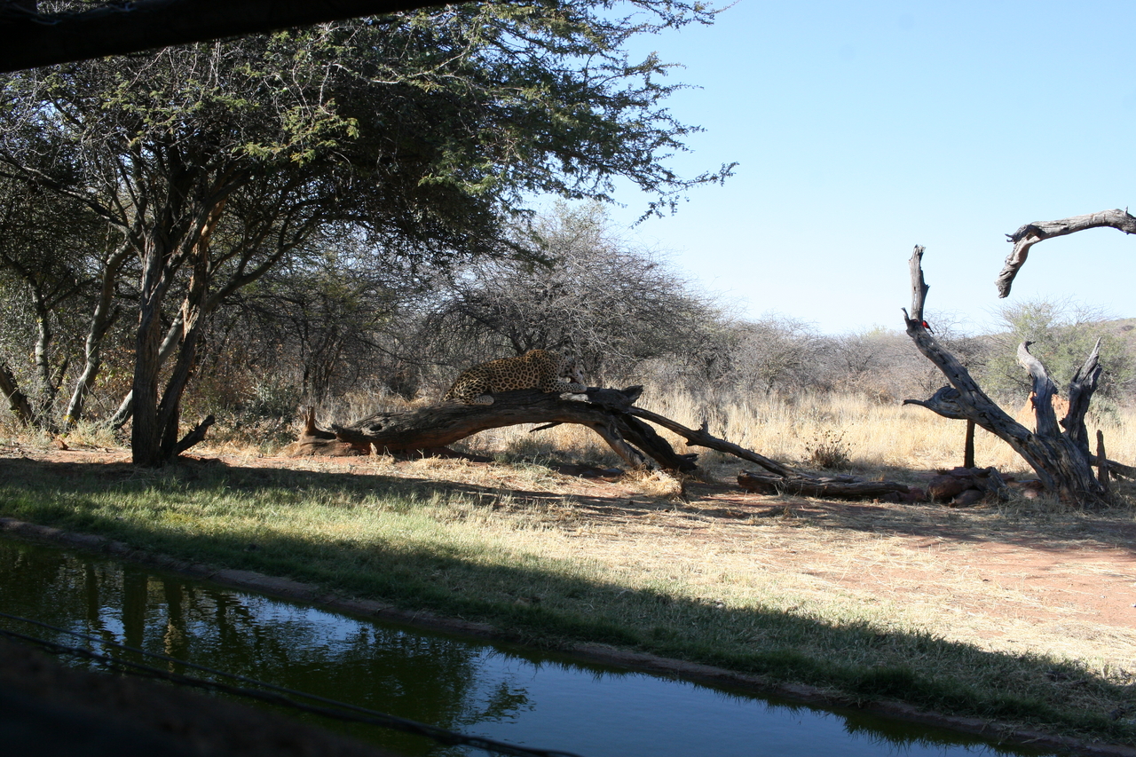 [6043] 2016_06_23_10_30_57_Africa_Canon_EOS_30D_IMG_1842_00107.jpg