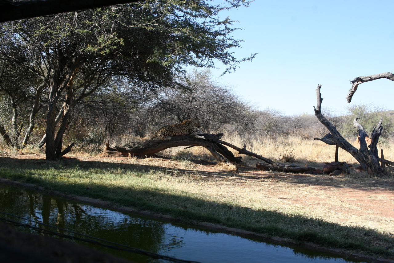 [6067] 2016_06_23_10_32_06_Africa_Canon_EOS_30D_IMG_1846_00290.jpg