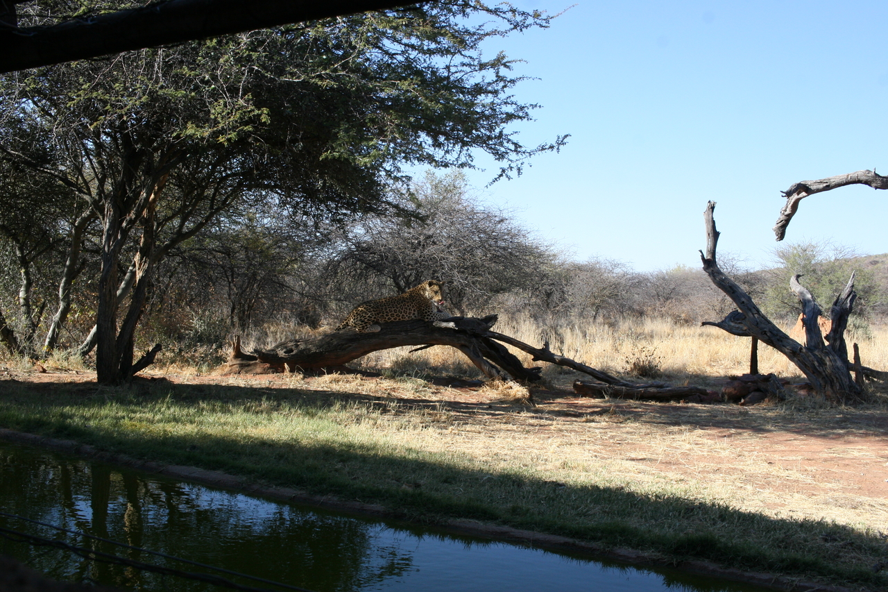 [6092] 2016_06_23_10_32_38_Africa_Canon_EOS_30D_IMG_1847_00112.jpg