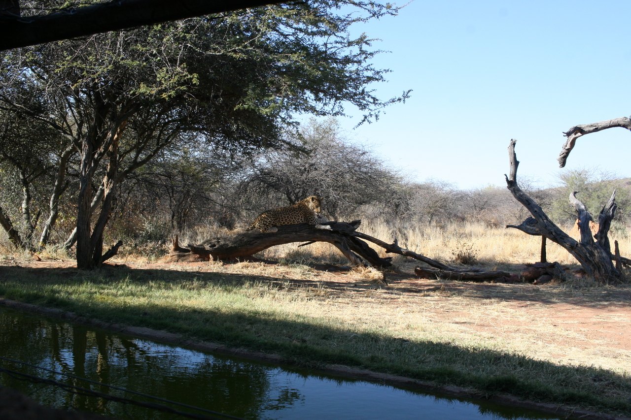 [6095] 2016_06_23_10_32_39_Africa_Canon_EOS_30D_IMG_1848_00292.jpg