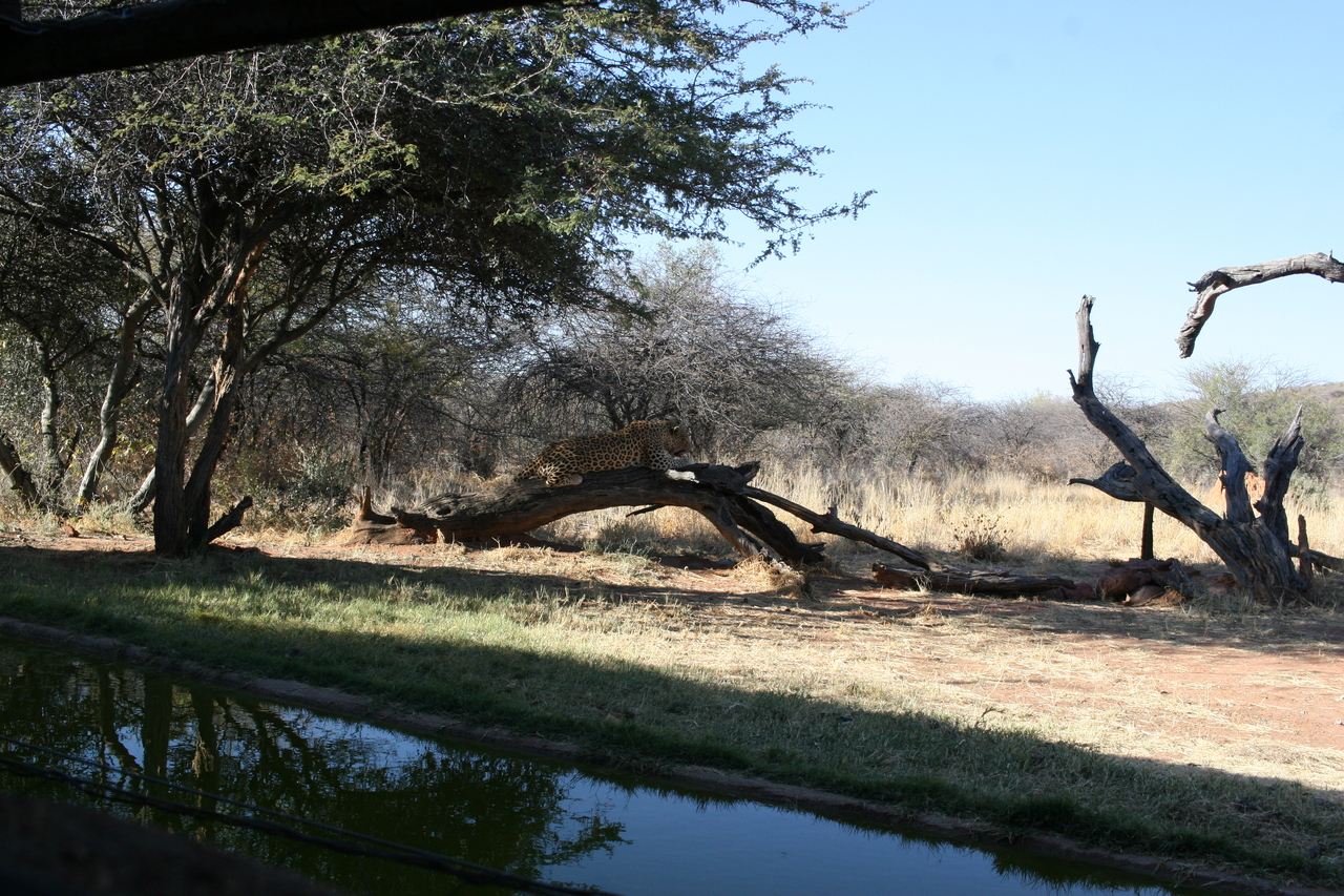 [6109] 2016_06_23_10_37_26_Africa_Canon_EOS_30D_IMG_1855_00299.jpg