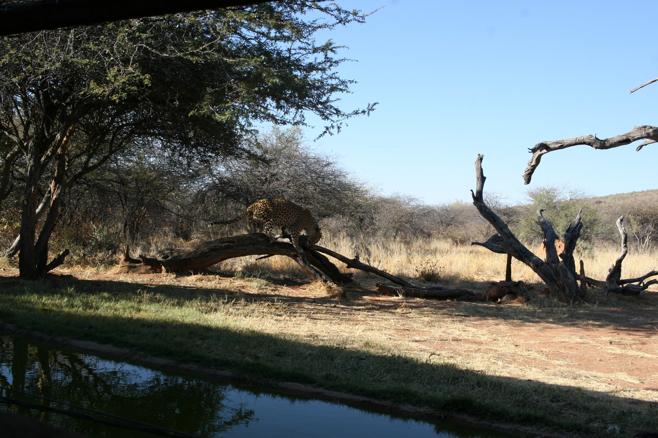 [6114] 2016_06_23_10_37_59_Africa_Canon_EOS_30D_IMG_1858_00123.jpg