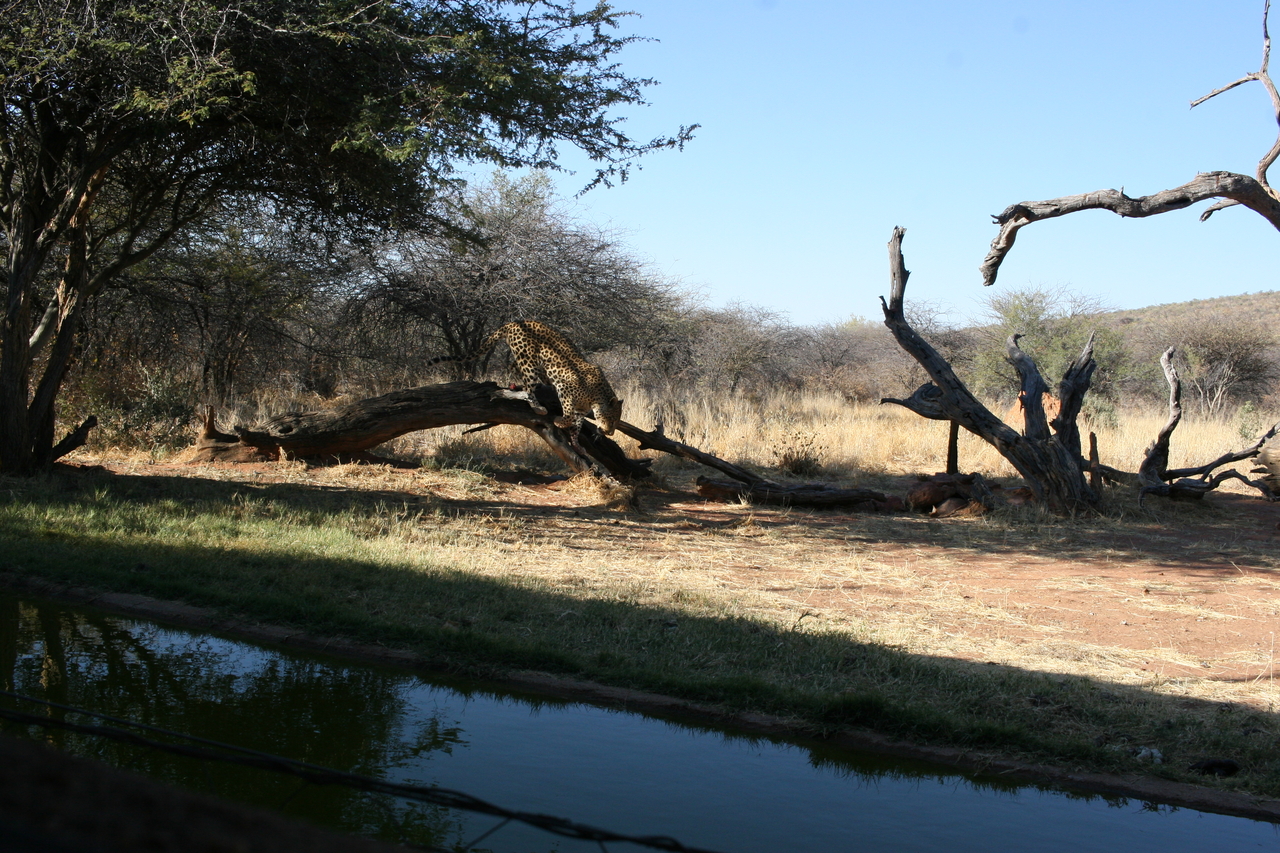 [6116] 2016_06_23_10_38_00_Africa_Canon_EOS_30D_IMG_1859_00124.jpg