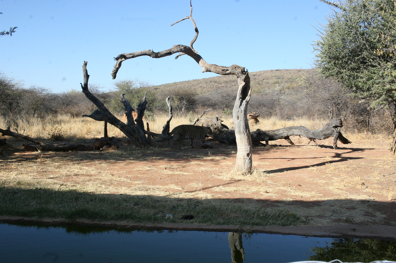 [6126] 2016_06_23_10_38_12_Africa_Canon_EOS_30D_IMG_1864_00129.jpg