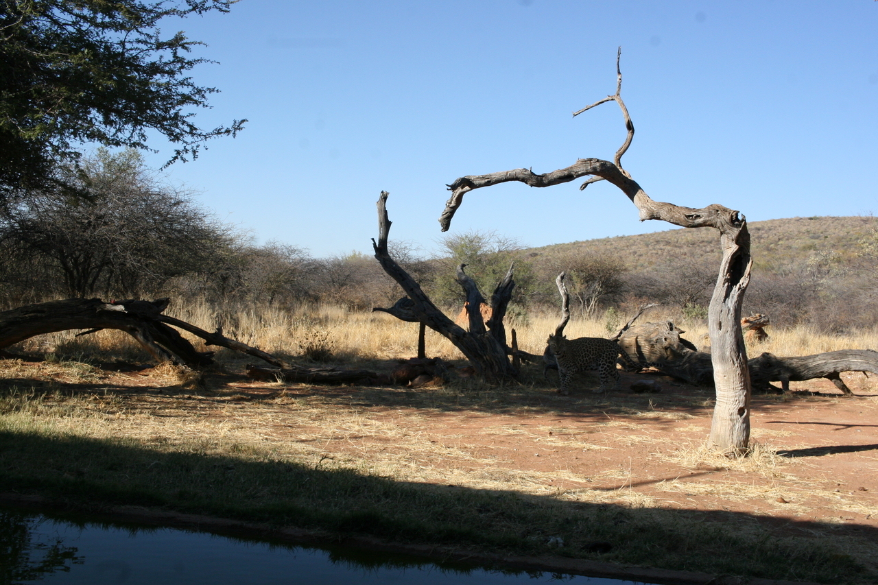 [6131] 2016_06_23_10_38_24_Africa_Canon_EOS_30D_IMG_1866_00310.jpg