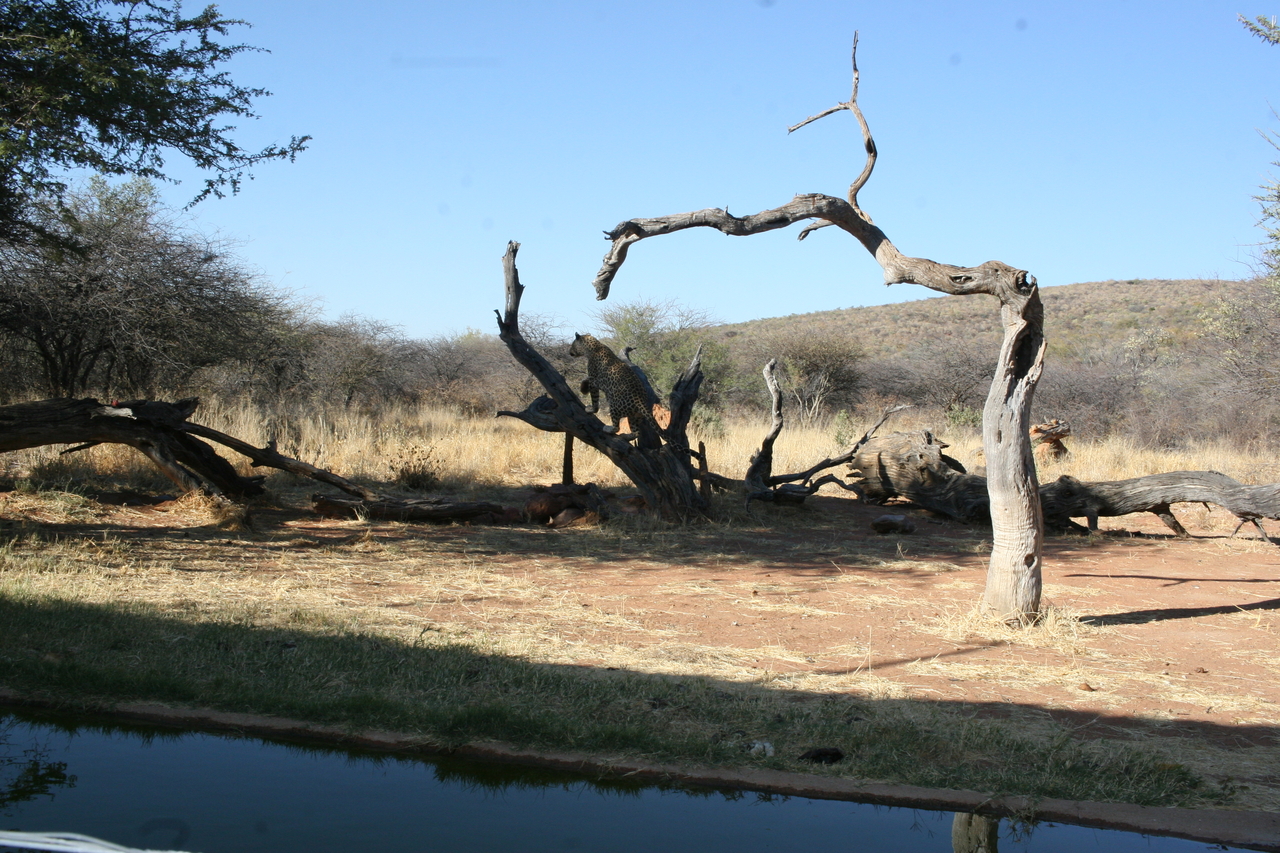 [6133] 2016_06_23_10_38_28_Africa_Canon_EOS_30D_IMG_1867_00311.jpg